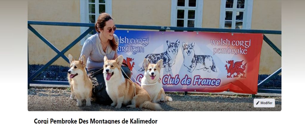 Des Montagnes De Kalimedor - Notre page facebook ! 