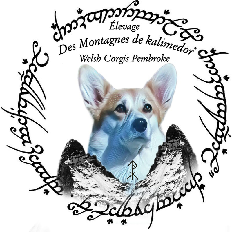 Des Montagnes De Kalimedor