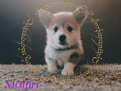 Azelia de sombrelune